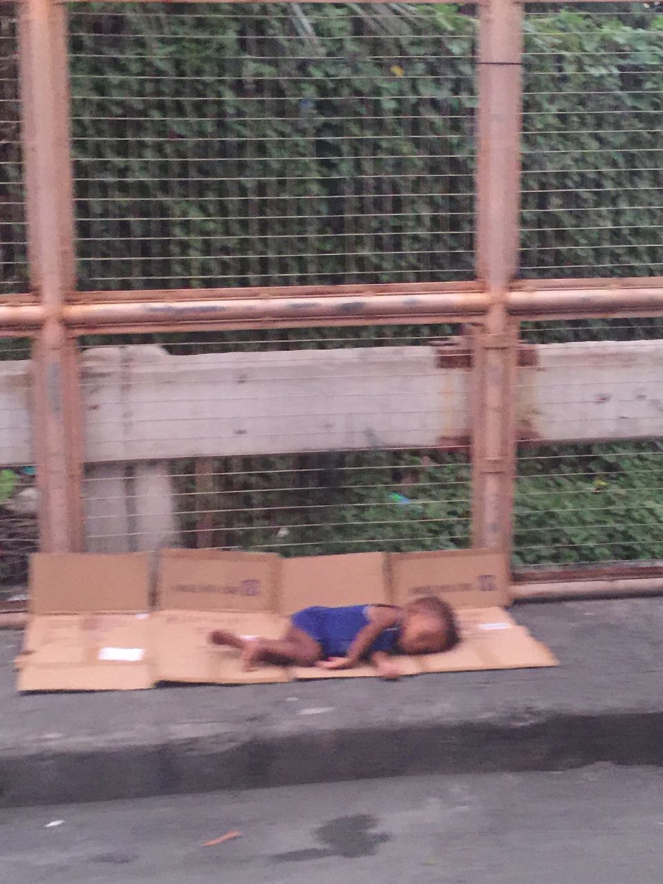 捨て子 海外逃亡してしまいました 捨て子 海外逃亡してしまいました