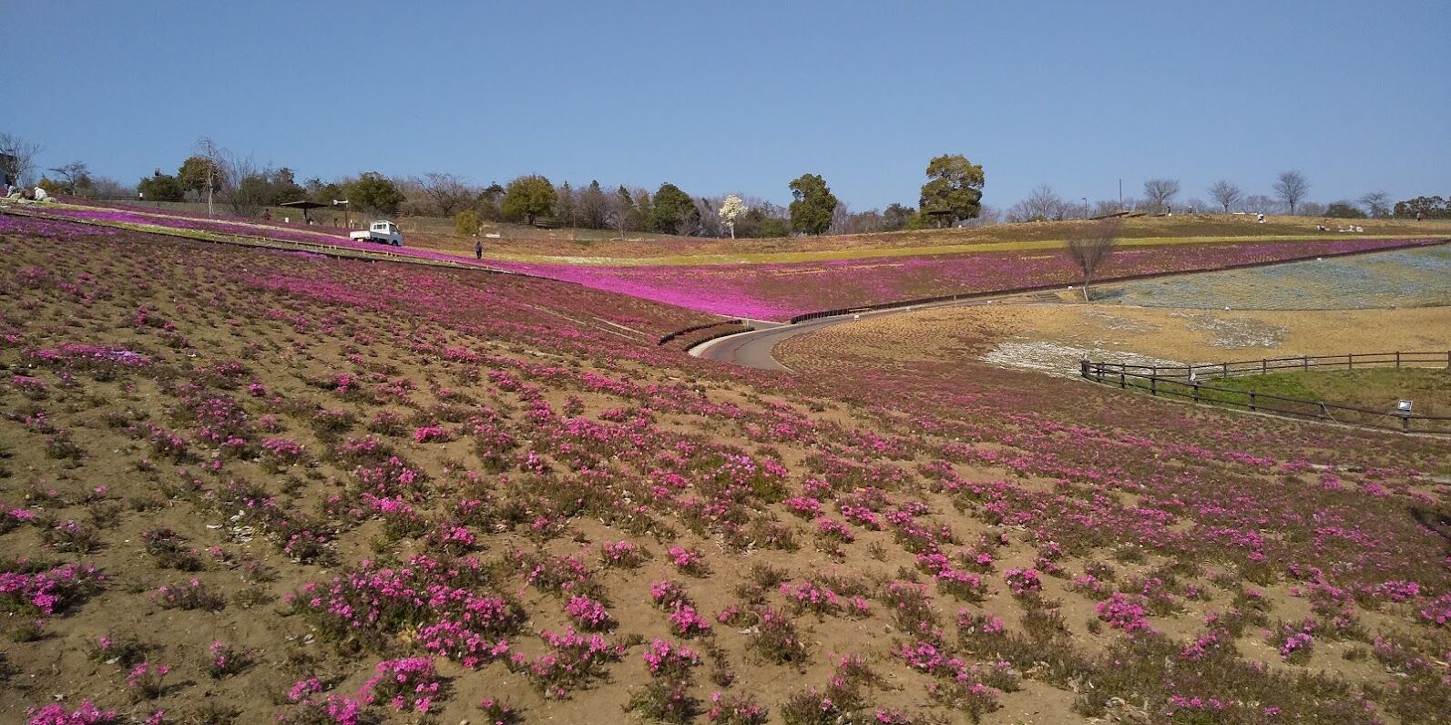 八王子山公園へ行きました 赤城山が好き