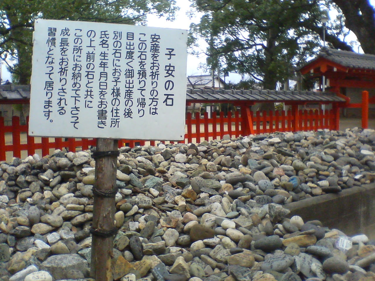 宇美八幡宮で安産祈願 せかビー日記