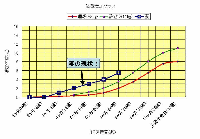 妊娠 5 ヶ月 体重 増加