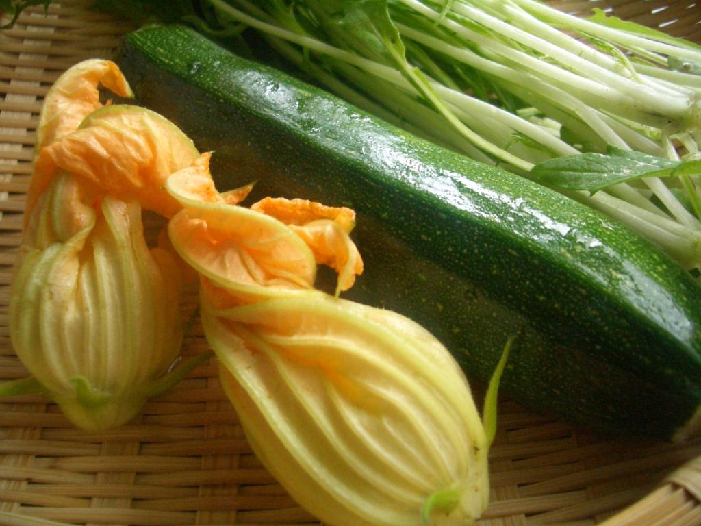 花ズッキーニのフリット うまい日々