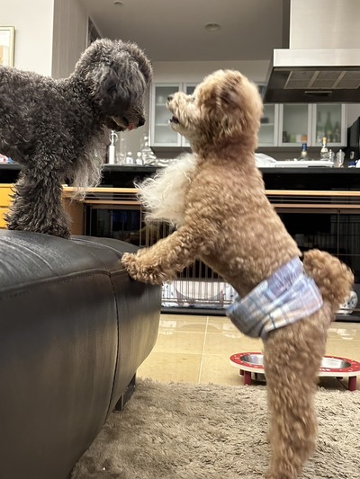 A3345875-9AD6-48E5-8019-5F2FB566B771