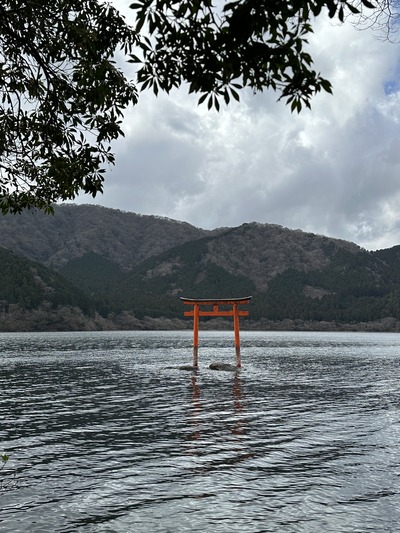 A15C155F-1374-48F4-9563-E57EAA90FDDA