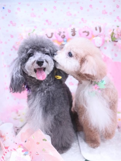 7AA36CD2-42D3-4A41-BBC6-F4BC56C11968