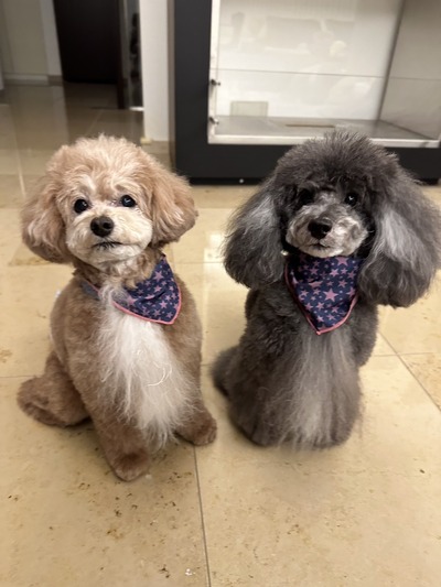 A8193395-F3B5-4A0B-83E6-0F052B52BDC8