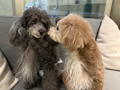 28037BF3-BBDC-4D5C-91F8-CD06D72380D8