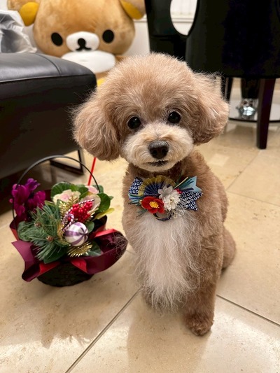 1F50FACF-974F-46E0-A292-8625A29AB838