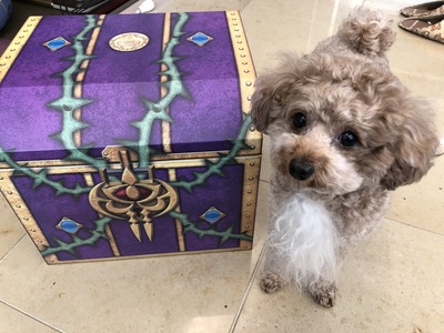 54F48A0D-D26F-48F6-A06A-E4C56EB8772F