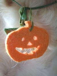 2016_1031_JACK O LANTERN