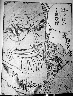 レイリーさん好きだあぁぁ Ryo S Blog