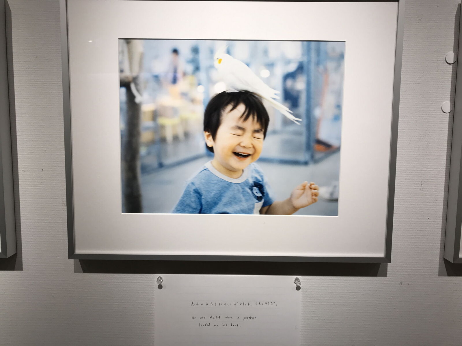 幡野優「言葉を抱くように」 幡野広志 幡野優「言葉を抱くように」 幡野広志 幡野優「言葉を抱くように」