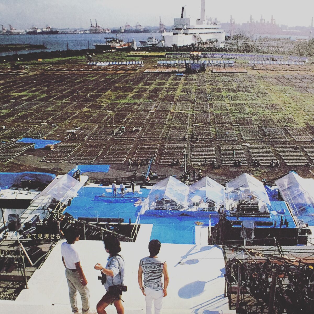 ミュージシャン THE ALFEE1986.8.3 TOKYO BAY-AREA タワーレコード音楽情報データベース｜リリース