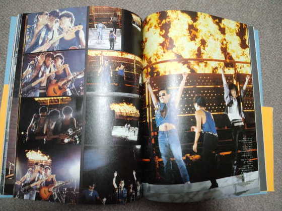 ALFEE、昔のチケットその他（2） : やれんのか！