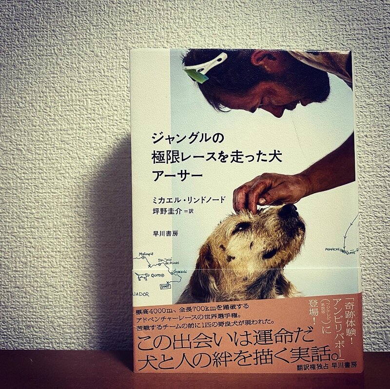 ジャングルの極限レースを走った犬 アーサー やれんのか