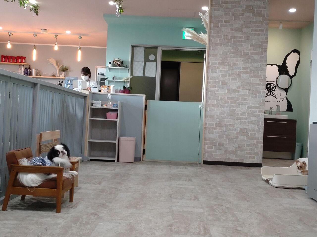 地元のドッグカフェ ケリードペロ 上福岡 両国ずんだぱんだ物語