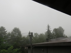 33585488_Unknown-1