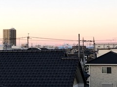 IMG_8317
