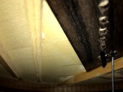 IMG_8264