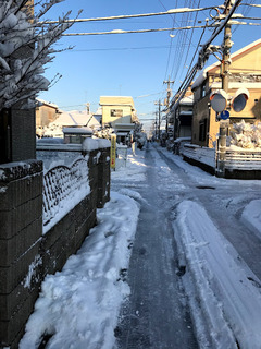 IMG_1053
