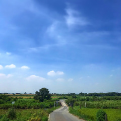 DFF85072-5529-4942-BDE8-08333F801C85