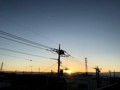 IMG_8334