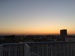 IMG_8450