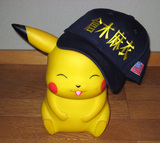 ¥Ô¥«¥Á¥å¥¦¤ÈÁÒÌÚËã°á˹»Ò