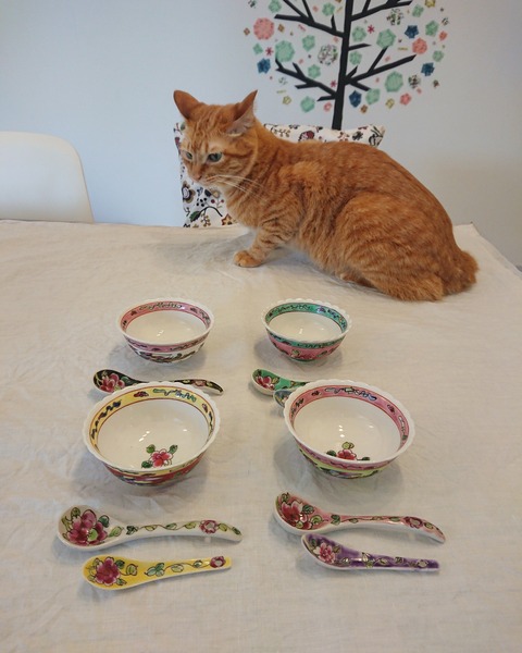 IMG_20181008_144856_620