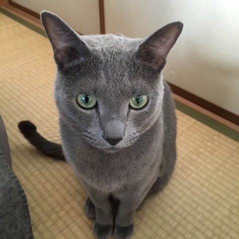 {F82A5CDC-3050-4F86-B94C-10246A525C4D:01}