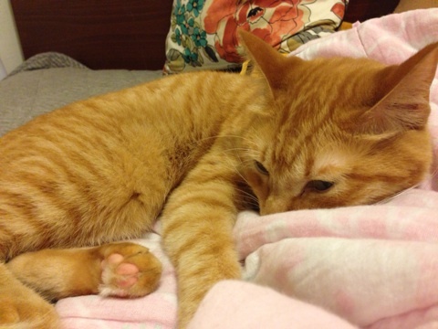 {6E2CE2F3-9000-4EED-915B-F6FDCE9F85CA:01}