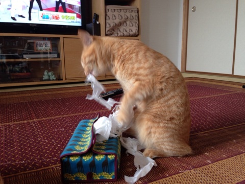 {8E5C1625-B111-48C2-B1A1-D7E70F45FF4A:01}