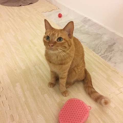 IMG_20180129_093232_861