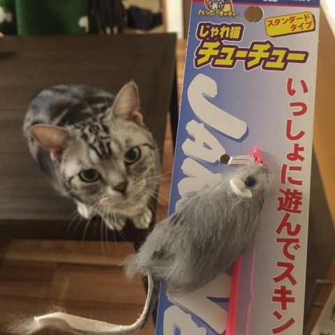 {B1B746C8-2E28-48C3-9859-DB9C72580B1D:01}