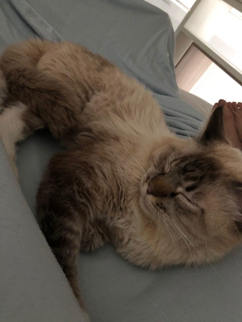 IMG_20191022_102146_937