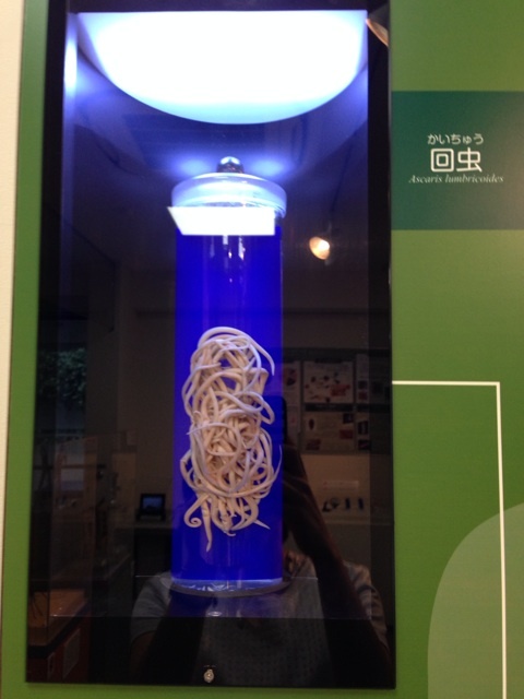 {9178D990-84EB-422F-BA2D-4FE2FB66CD2F:01}