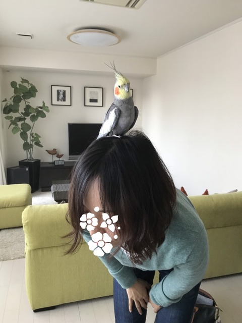 19-02-25-14-50-30-994_deco