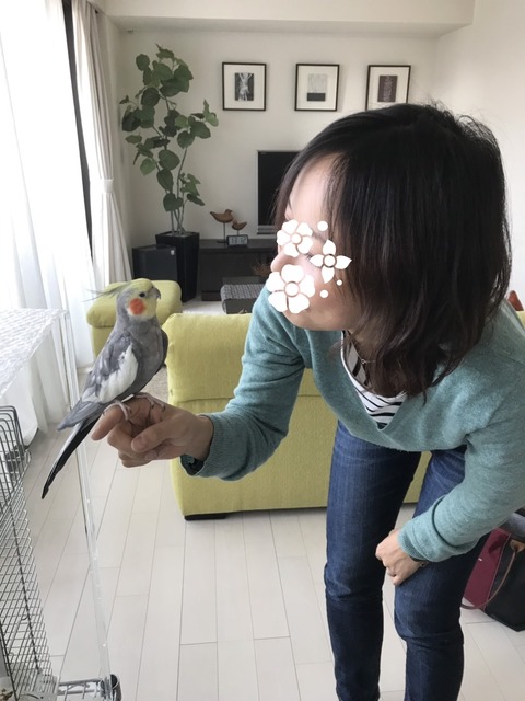 19-02-25-14-49-15-402_deco