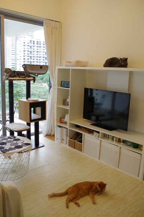 [画像:04426c4e-s.jpg]