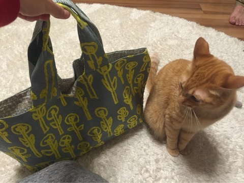 {3B02825C-4675-4F1C-B242-314DD89D1F20:01}