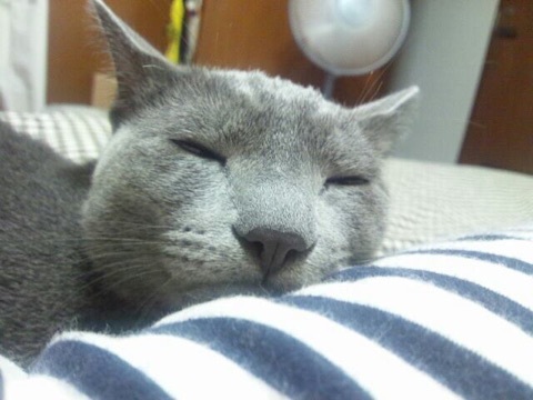 {628A62D0-42B1-4D7D-A0BD-9B1AB07F4A72:01}