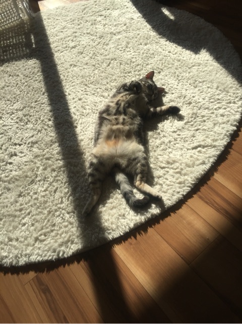 {9E342740-4726-4528-A880-45AA26601A15:01}