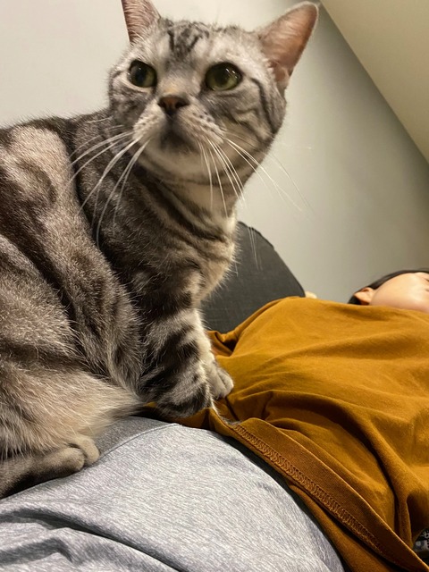 21-11-18-16-09-43-476_deco