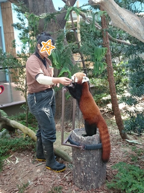 19-01-11-10-35-58-472_deco