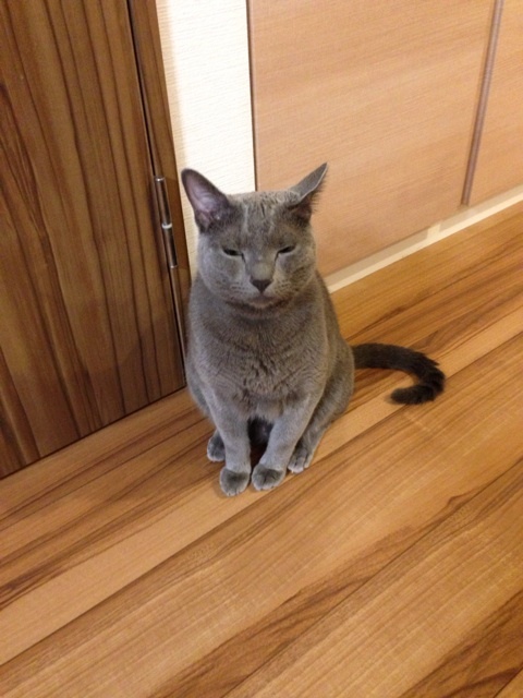 {845A21FC-D677-445D-8C3E-798E399D625A:01}