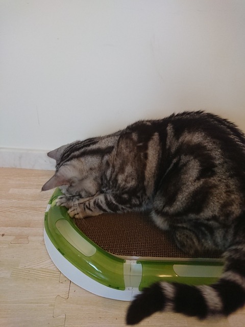 DSCPDC_0000_BURST20180409160247389