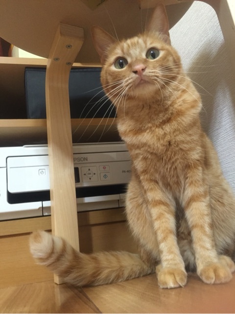 {958DADCD-ACC5-4C2B-9D60-C999AB02B51D:01}