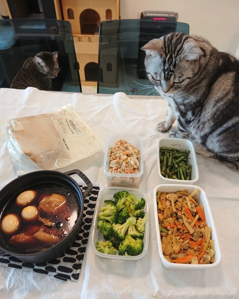 IMG_20190611_171000_932