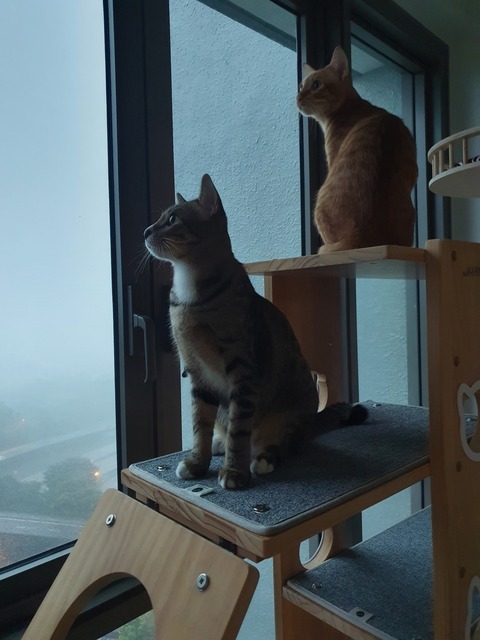 20201117_175157