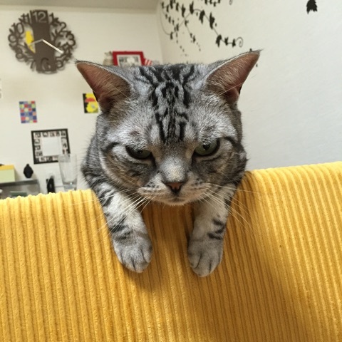 {16A4C5D4-9854-4085-8B37-8F28ED37FF2C:01}