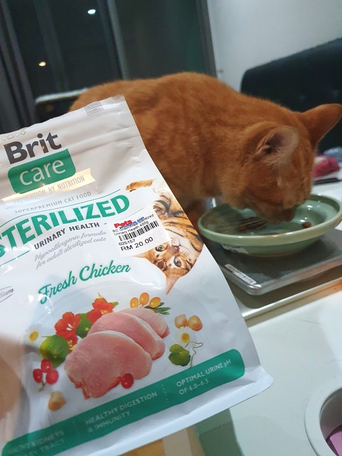 21-11-09-08-47-07-813_deco